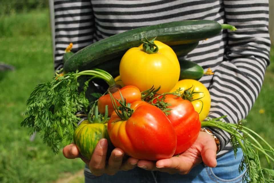 man holding a bunch of vegetables