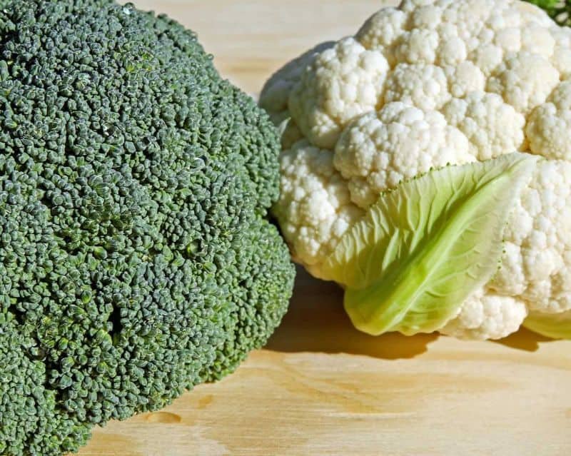 broccoli & cauliflower