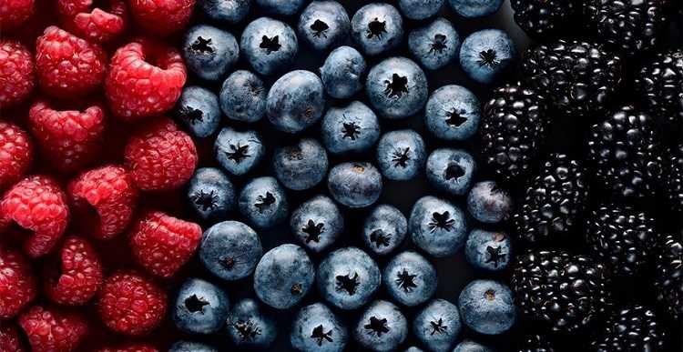 Close-up image of red, blue and black berries which are high in polyphenols