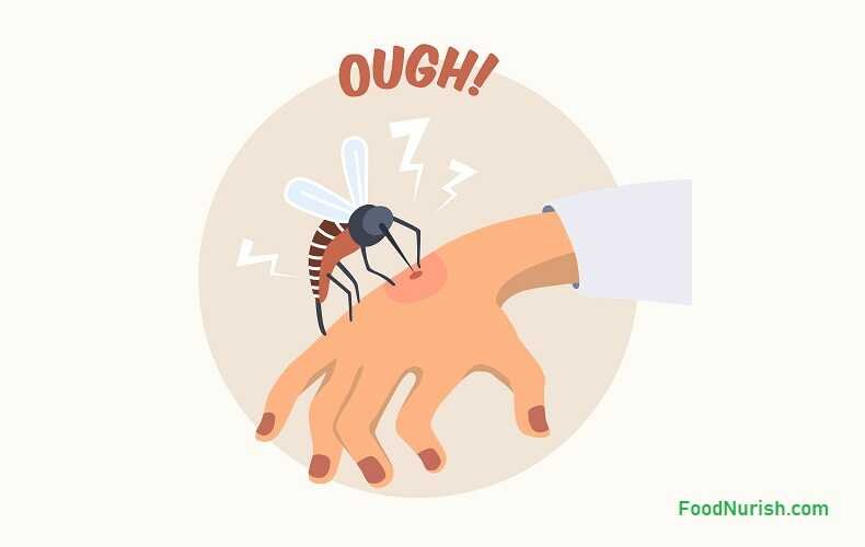 mosquito on a hand