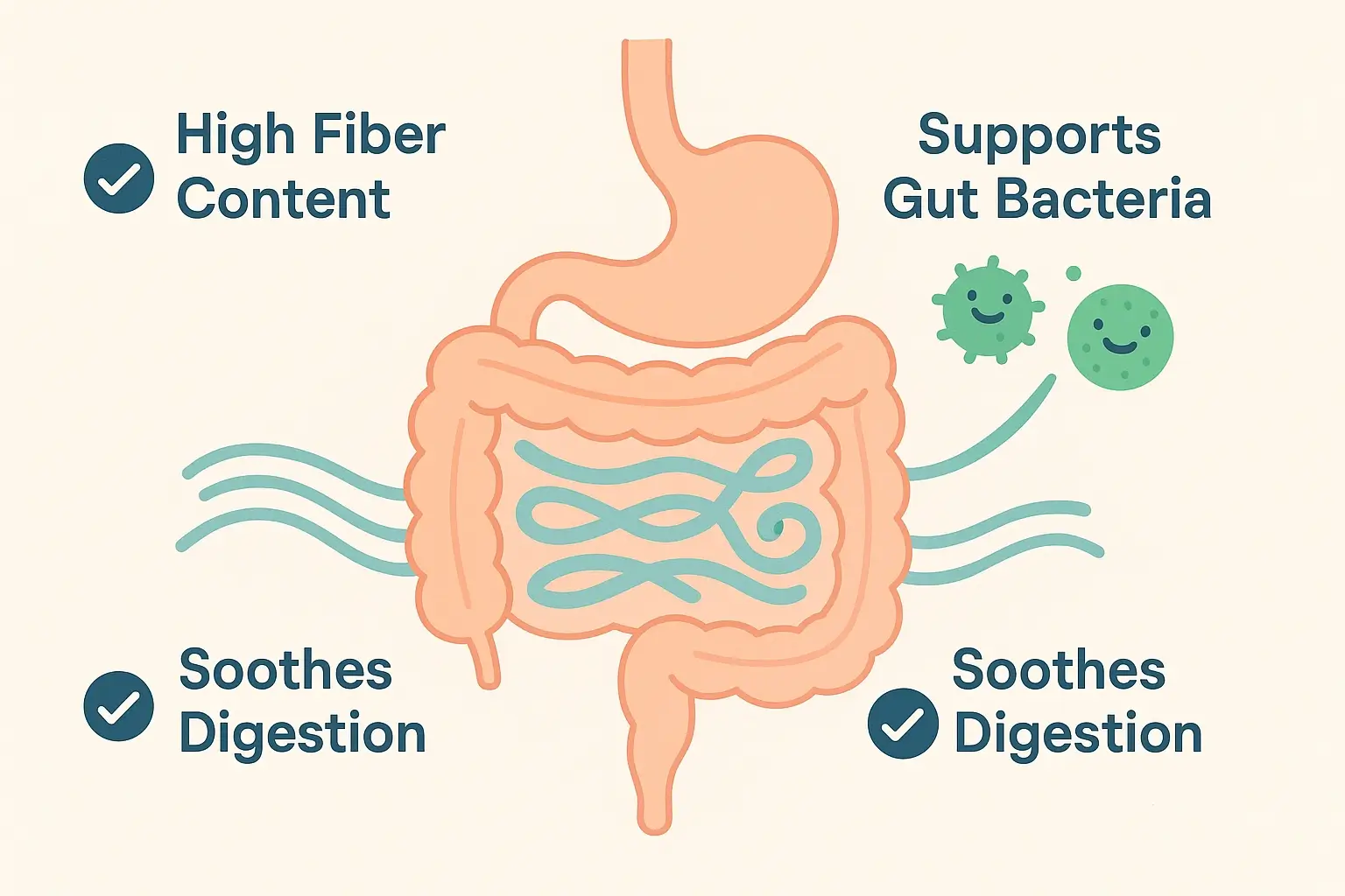 Illustration showing how carob supports digestive health with high fiber content and beneficial compounds for gut bacteria