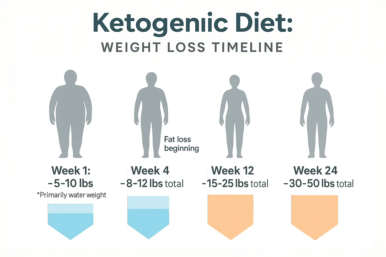 Timeline showing typical weight loss progression on ketogenic diet over 24 weeks