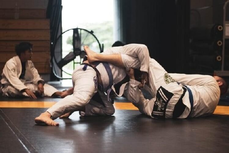 brazilian jiu jitsu fighters