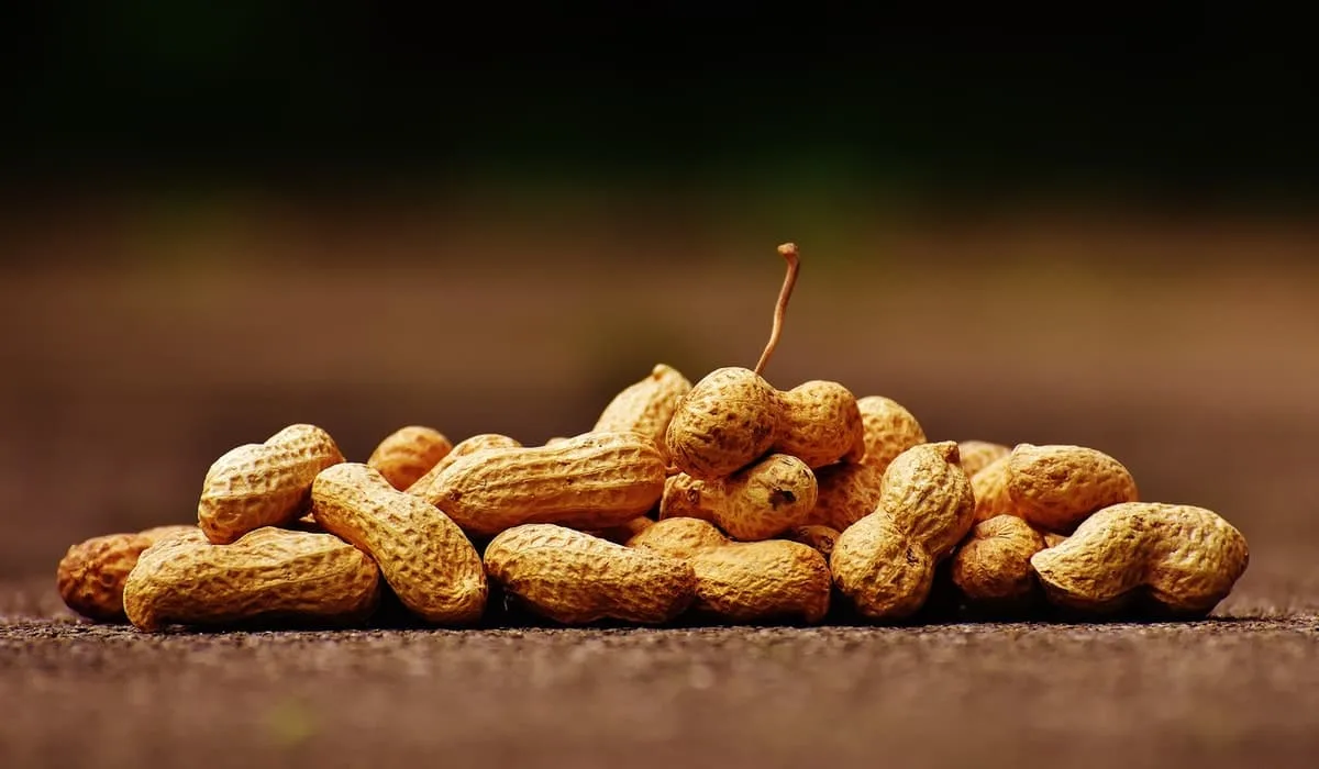 peanuts