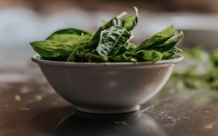 bowl of spinach