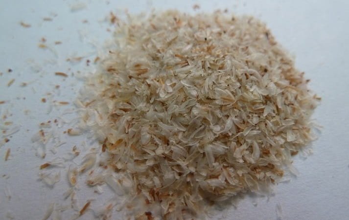 Psyllium seed husk