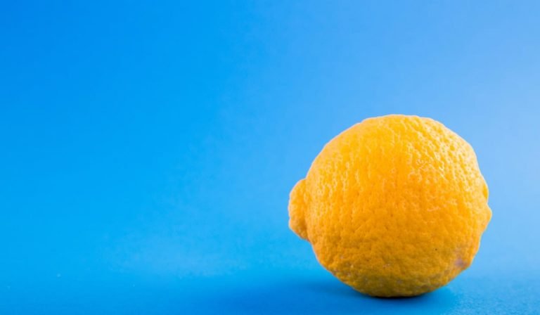 citrus fruit on a blue background