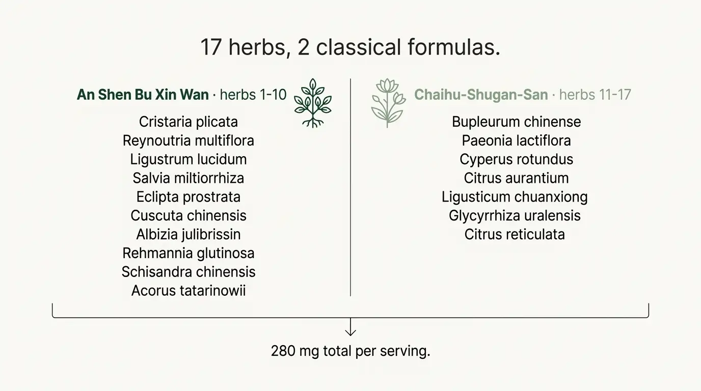 Diagram showing the 17 Cognibiotics herbs split into two classical Chinese formulas, An Shen Bu Xin Wan and Chaihu-Shugan-San, sharing 280 mg per serving