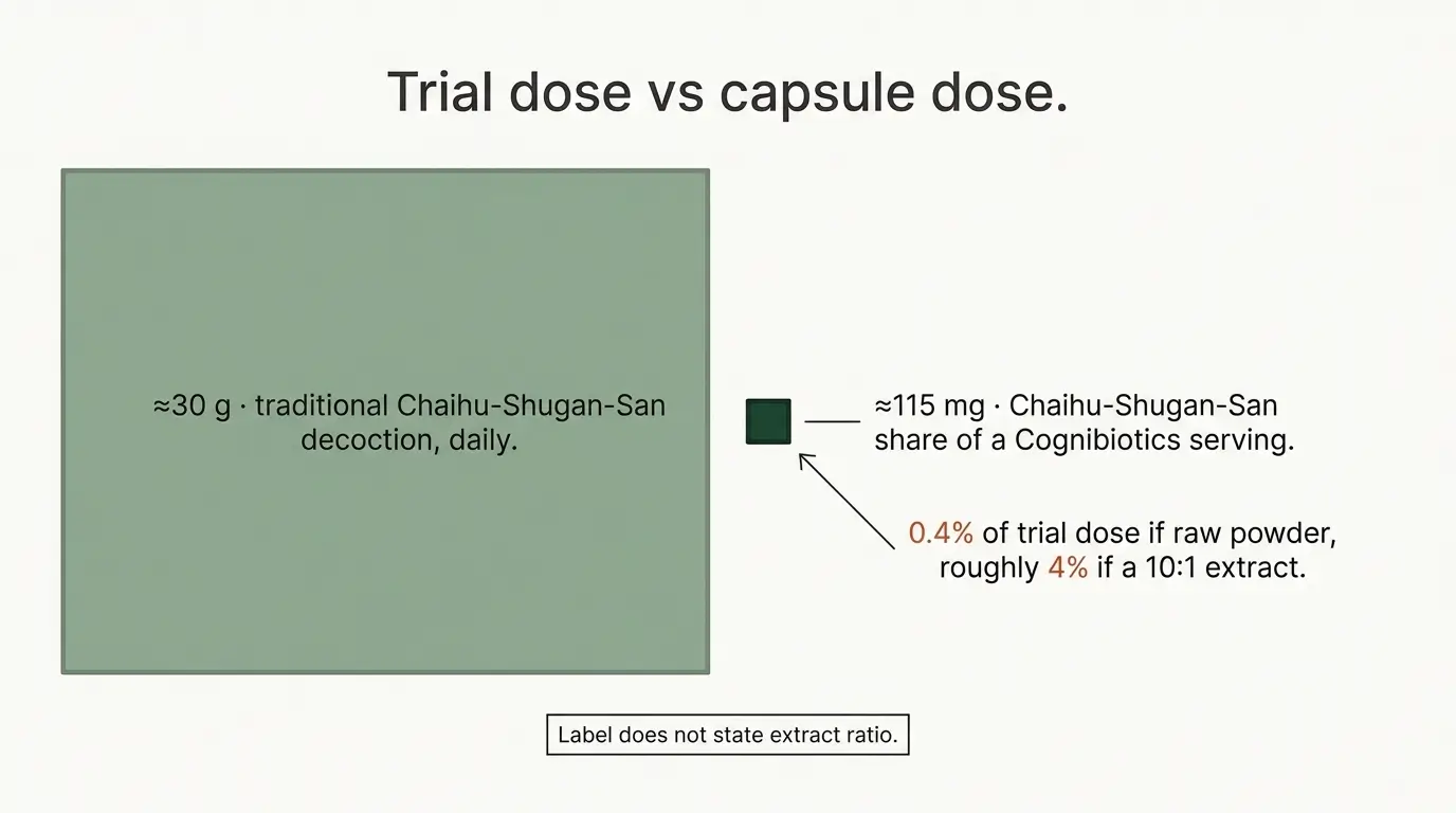 Scale comparison showing 30 grams of traditional Chaihu-Shugan-San decoction versus roughly 115 milligrams in a Cognibiotics serving