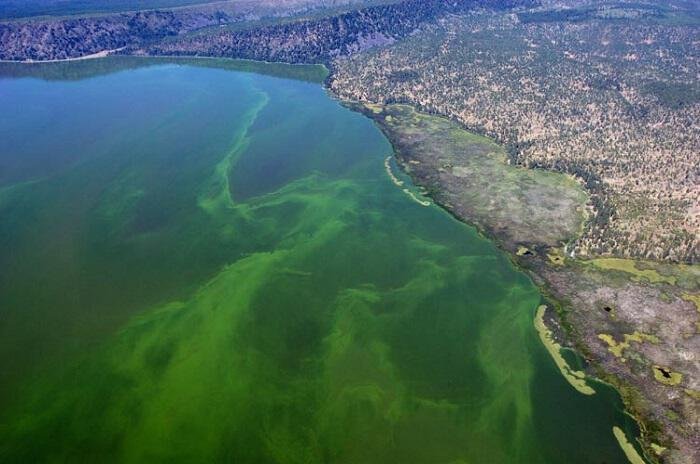 Klamath Lake