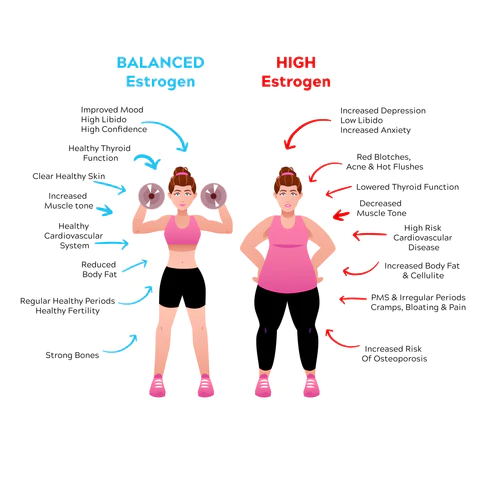 Estrogen Dominance in Women