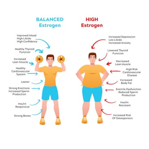 Estrogen Dominance in Men