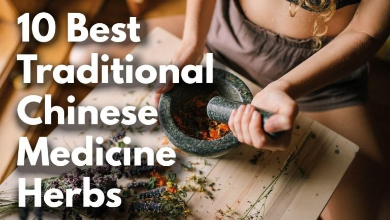 Traditional Chinese Medicine Herbs-min