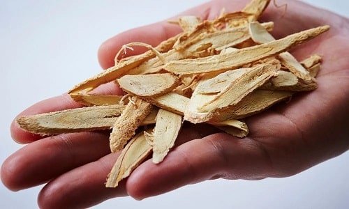 Astragalus root