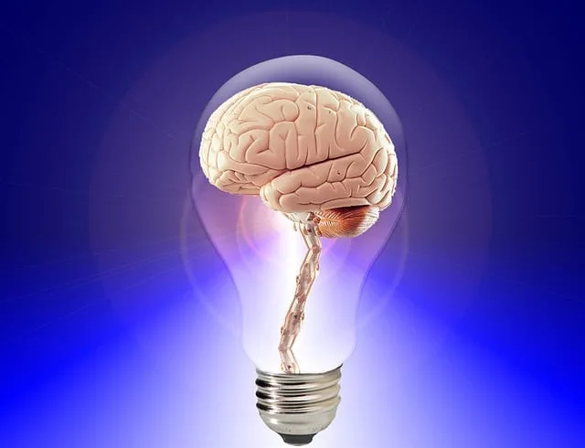 An Illustration of a brain in a light bulb
