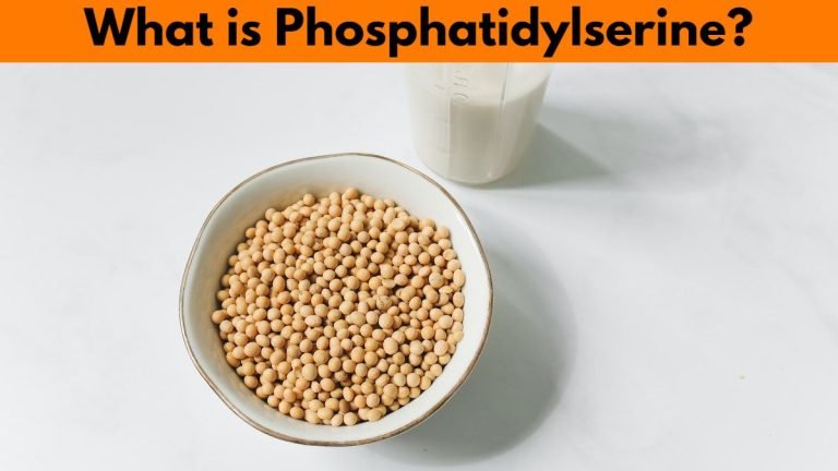 what is phosphatidylserine