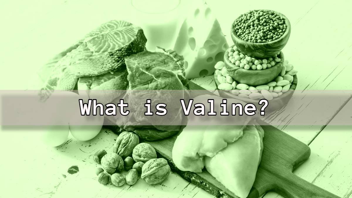 what is valine