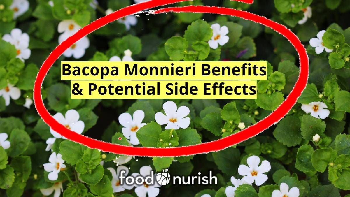 Bacopa Monnieri Benefits And Side Effects