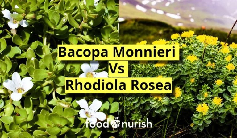 bacopa monnieri vs rhodiola rosea