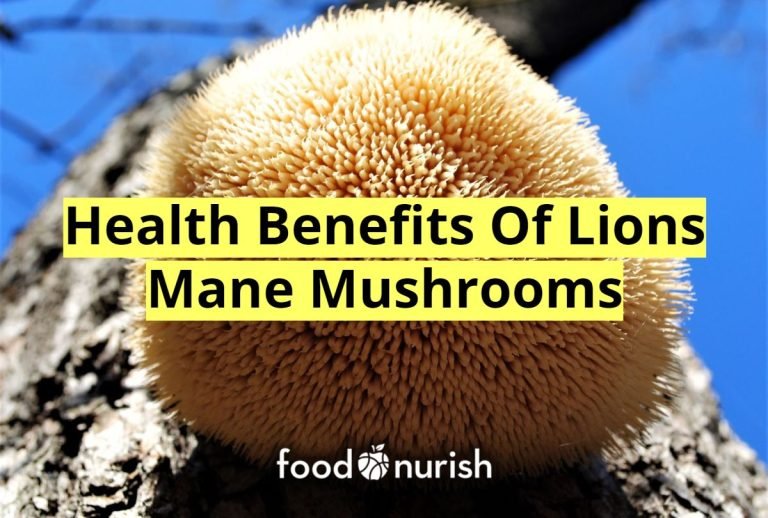 12 Lion’s Mane Mushroom Health Benefits Based On Science