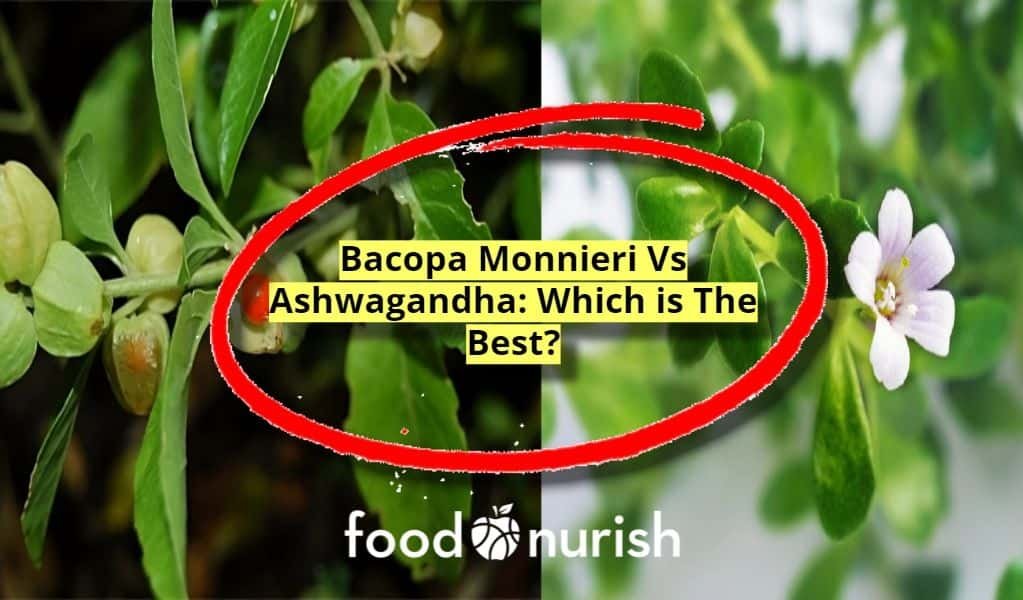 bacopa monnieri vs ashwagandha