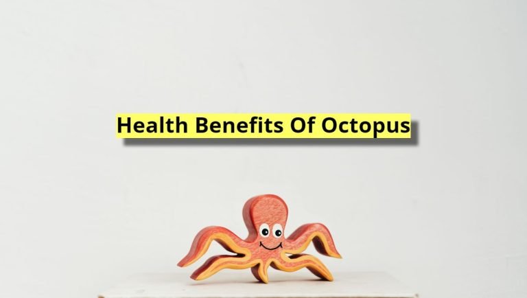 octopus health benefits