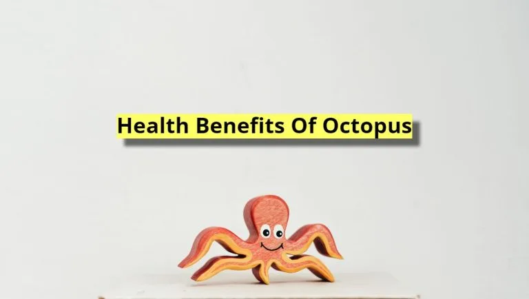 octopus health benefits