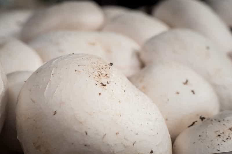 White Button Mushrooms