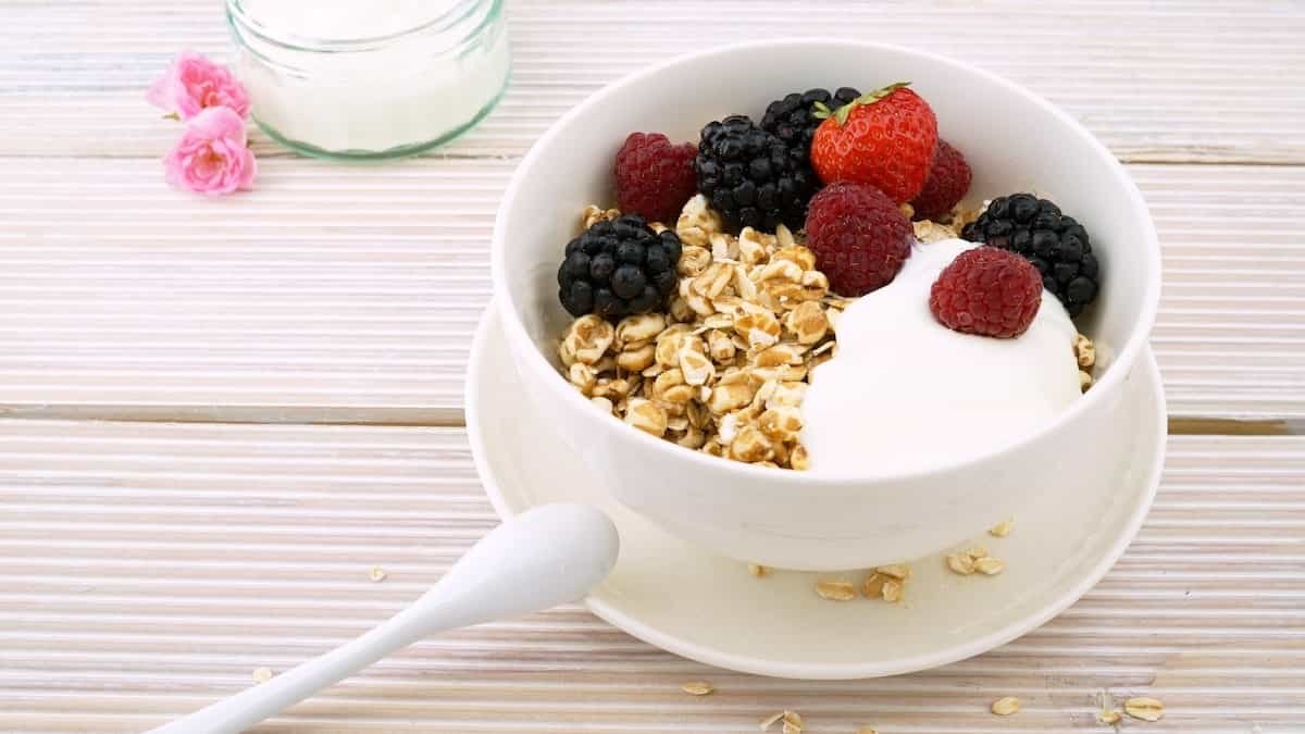 A bowl with Greek yogurt oats and berries