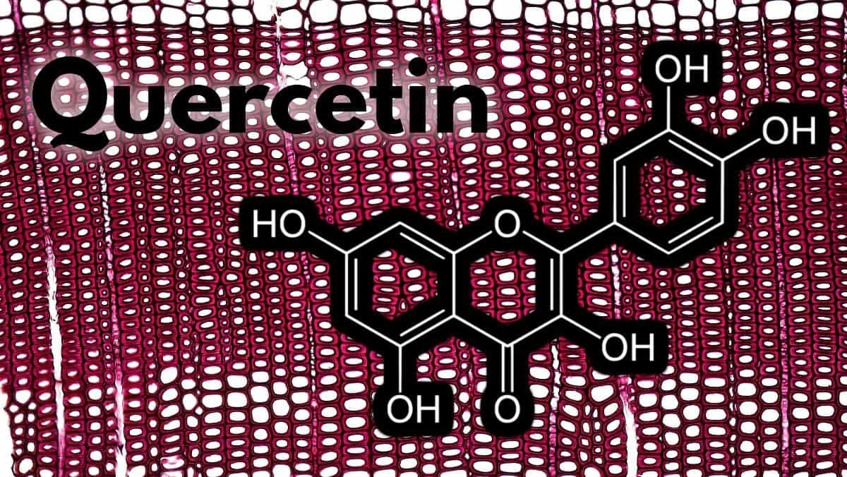 Featured image for Quercetin Benefits Article