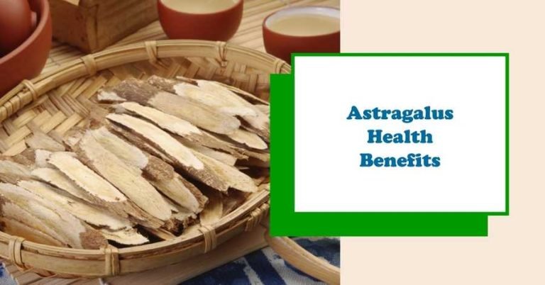 11 Astragalus Benefits (Fact Checked), Supplements, Anti-Aging