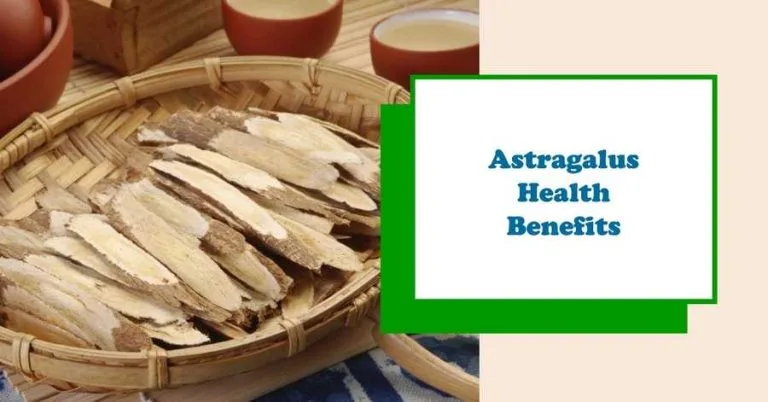 11 Astragalus Benefits (Fact Checked), Supplements, Anti-Aging