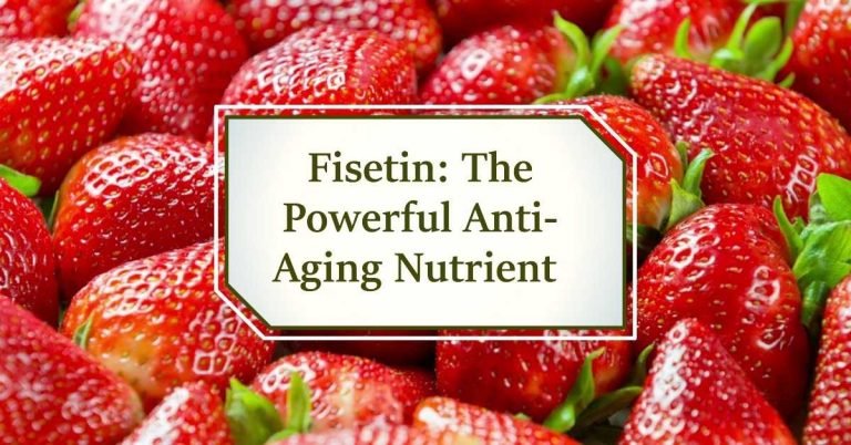 Featured image for article, What is Fisetin - Fisetin Benefits