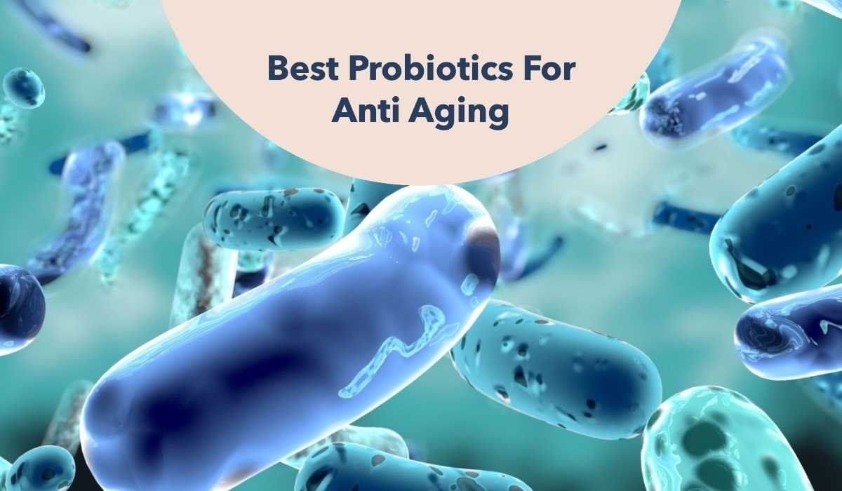 Best Probiotics For Anti Aging