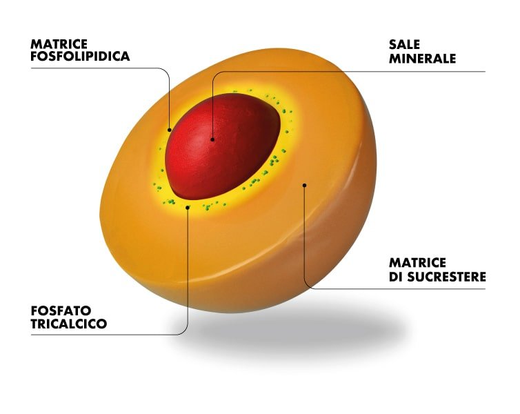 Sucrosomial technology Illustrated (Italian)