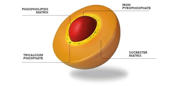 Illustration of Sucrosomial technology