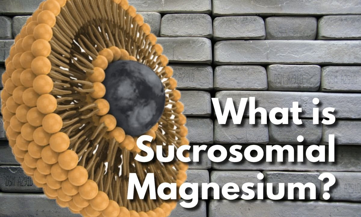 What Is Sucrosomial Magnesium featured image