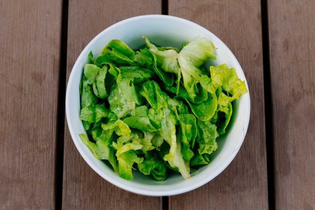 Green Lettuce in White Bowl