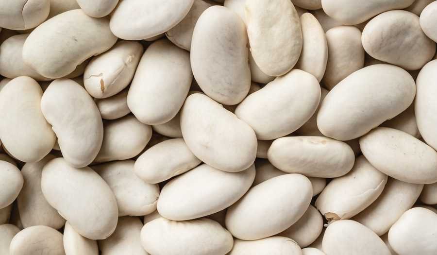 Close-Up Shot of White Beans