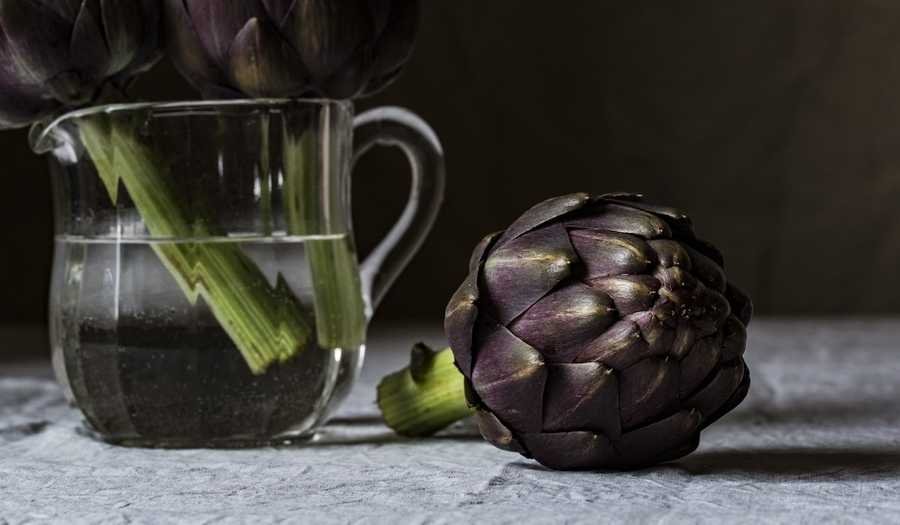 Purple Artichoke