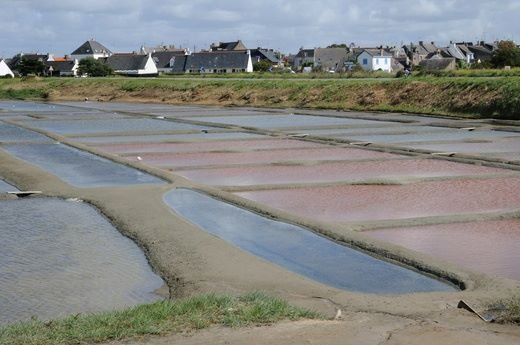 Celtic Sea Salt Harvesting Operation in the coasts of France