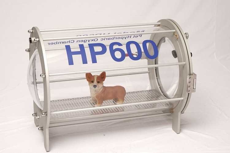 Hyperbaric Oxygne Therapy Chamber for Pet