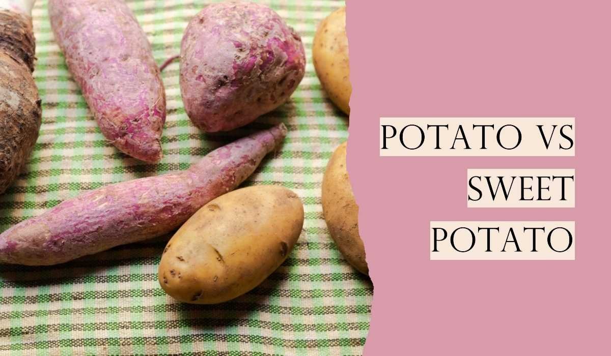 Potato vs Sweet Potato