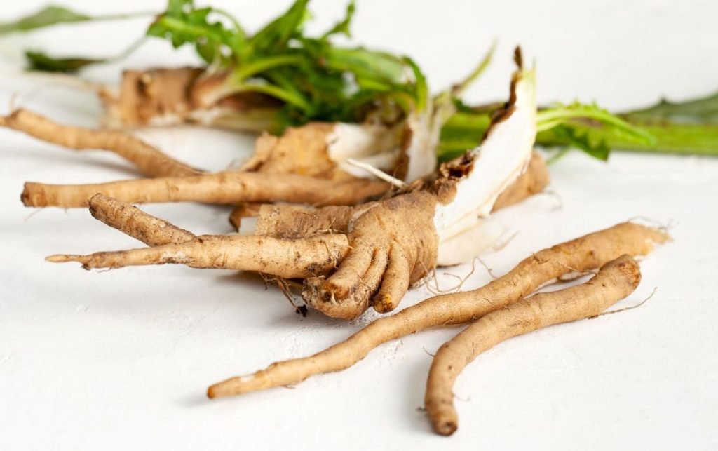 Chicory Root