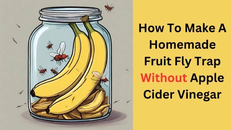 Homemade Fruit Fly Trap Without Apple Cider Vinegar