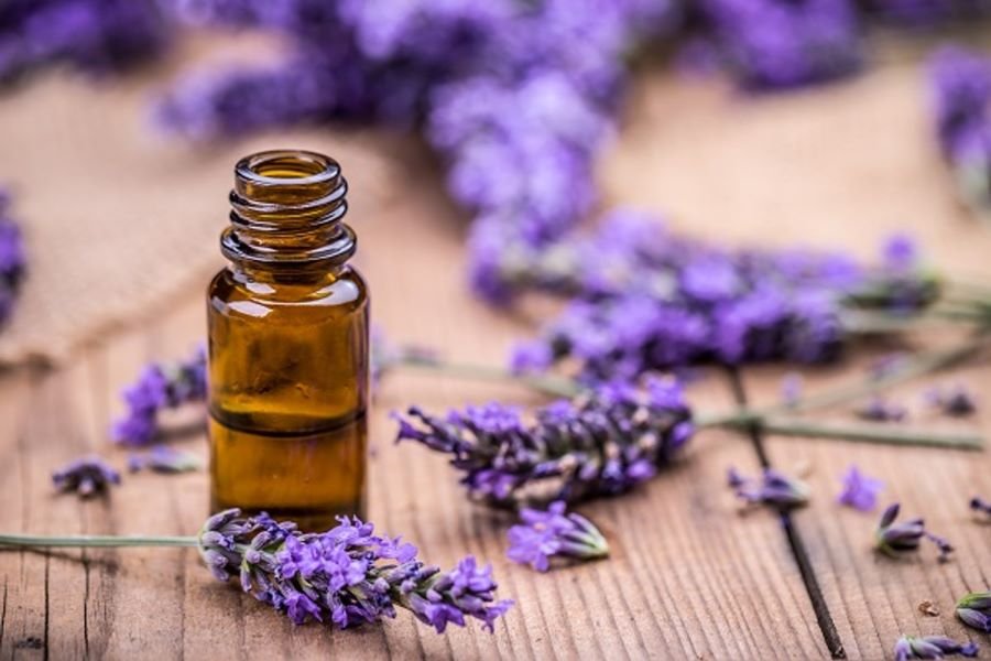 Lavender essential oil