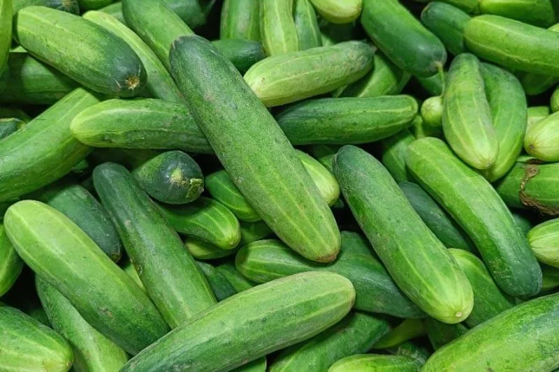 Cucumbers