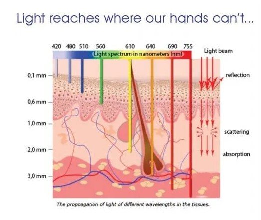 LED Light Wavelengths and how far they can penetrate skin