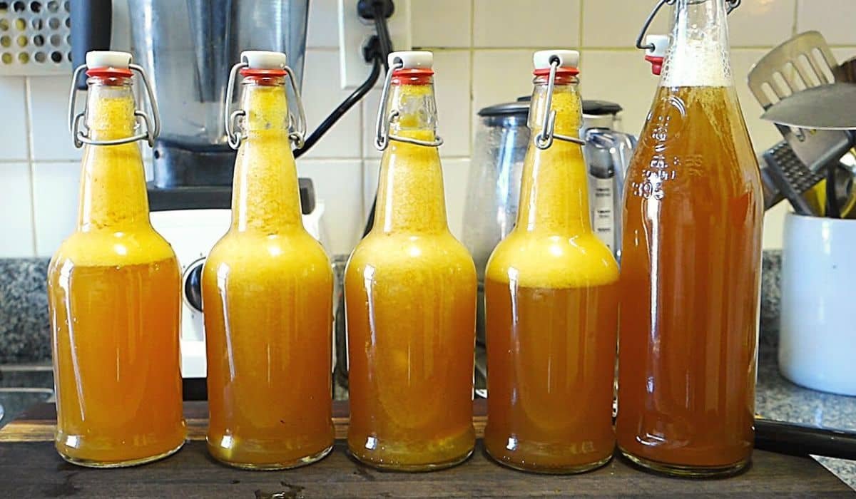 Fermented Fruit Juices in Glass Bottles