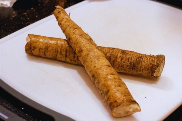 Burdock Root